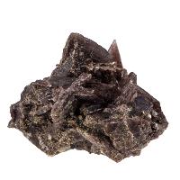 Axinite cristaux bruts 