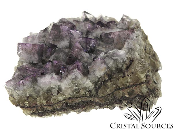 Fluorite violette, cristaux bruts sur gangue